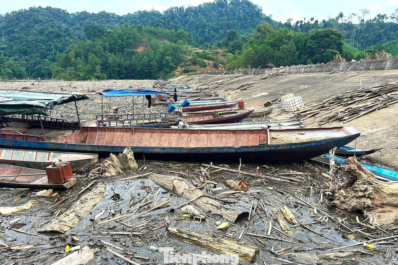 Cận cảnh rác gỗ 'khổng lồ' bủa vây hồ thủy điện lớn thứ 2 tỉnh Nghệ An- Ảnh 6.