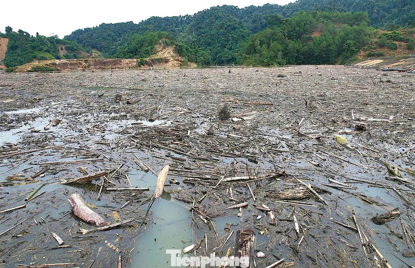 Cận cảnh rác gỗ 'khổng lồ' bủa vây hồ thủy điện lớn thứ 2 tỉnh Nghệ An- Ảnh 3.