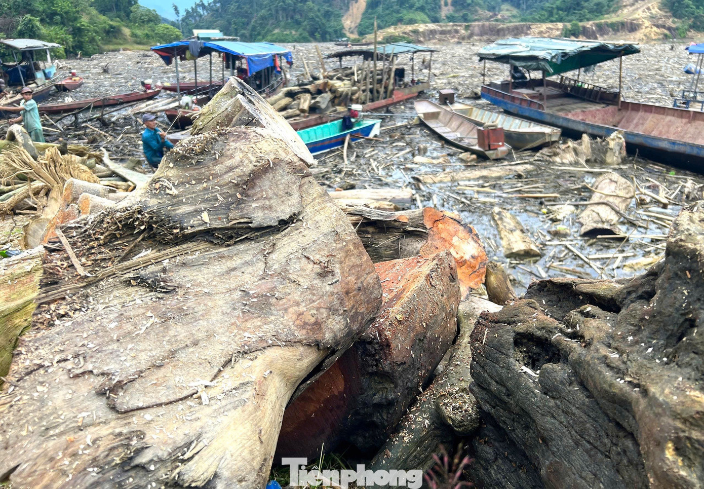 Cận cảnh rác gỗ 'khổng lồ' bủa vây hồ thủy điện lớn thứ 2 tỉnh Nghệ An- Ảnh 8.