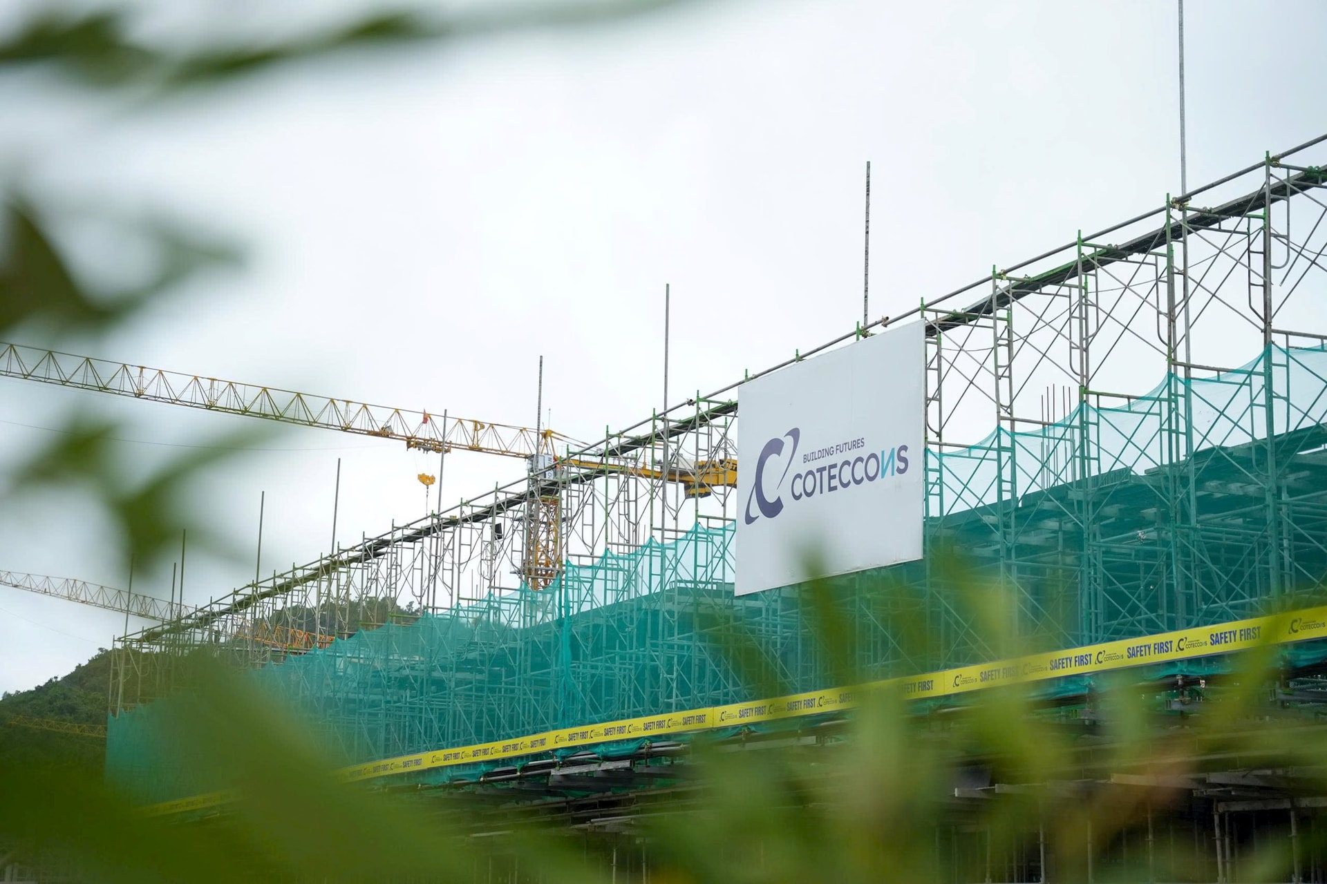 Coteccons báo lãi ròng 294 tỷ đồng trong quý đầu năm tài chính 2026- Ảnh 1.