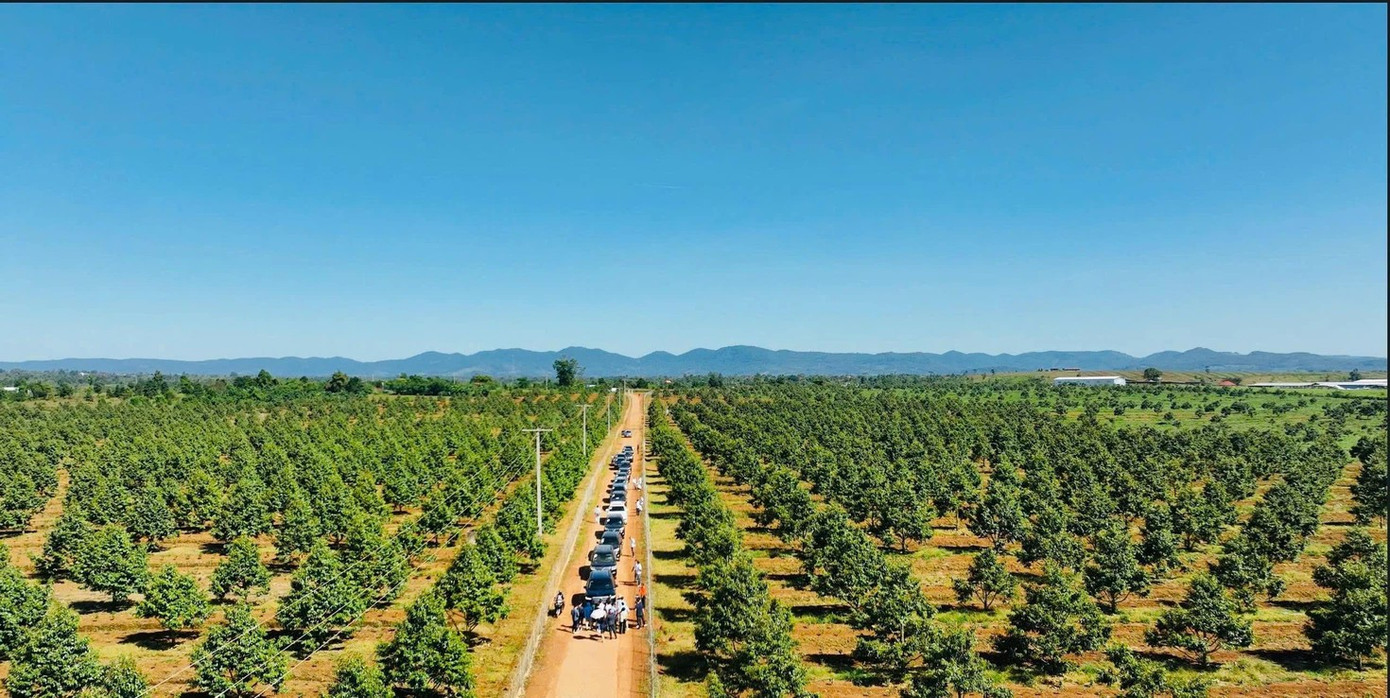 Từ bán nhà cũng phải trồng cao su, mất ngủ vì heo ăn chuối, bầu Đức sắp xoay trục sang sản phẩm chủ lực mới?- Ảnh 5.
