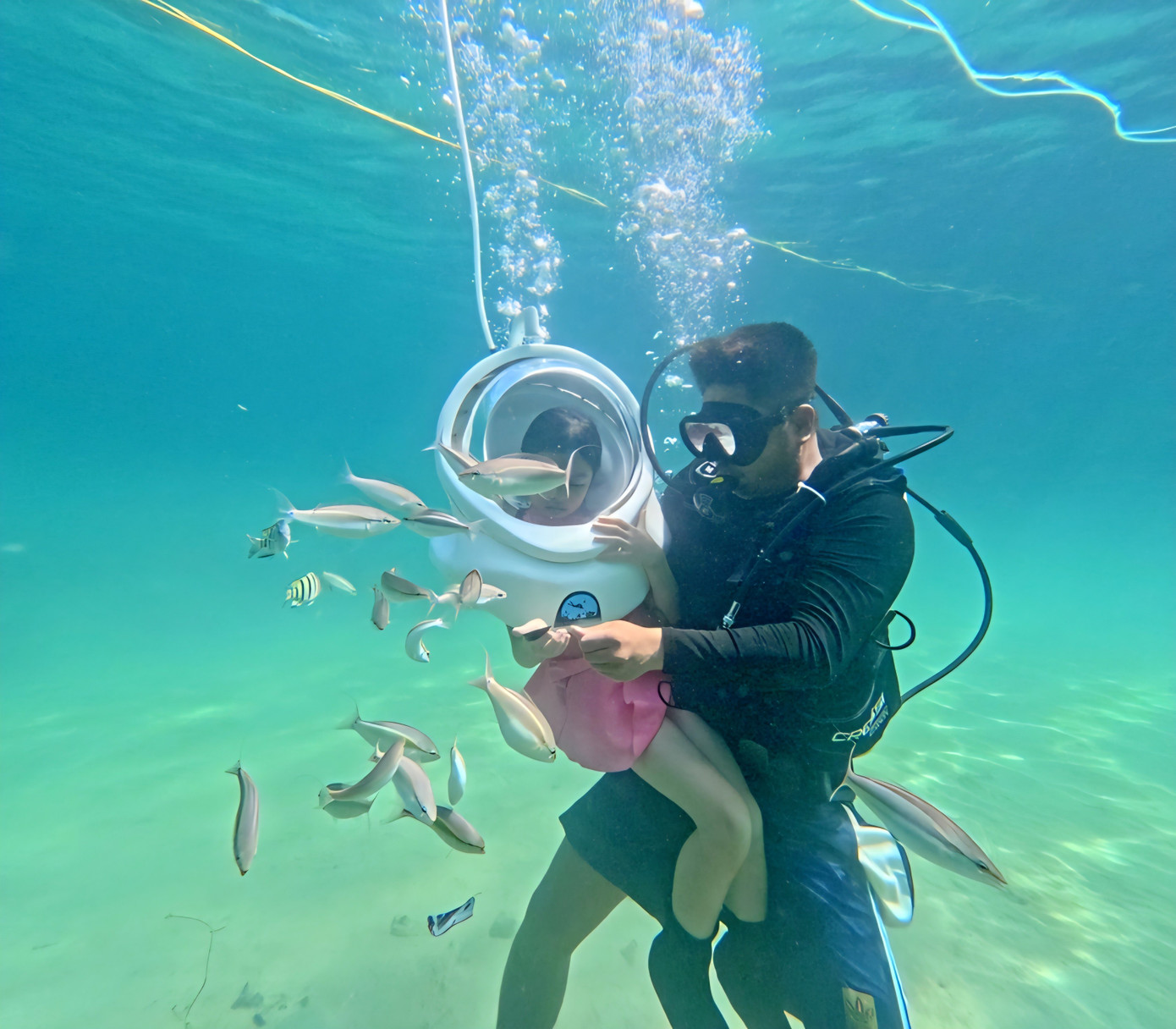 Quảng Ninh sẽ xây cầu vượt biển đánh thức ‘viên ngọc xanh’ giữa vịnh Bắc Bộ- Ảnh 10.