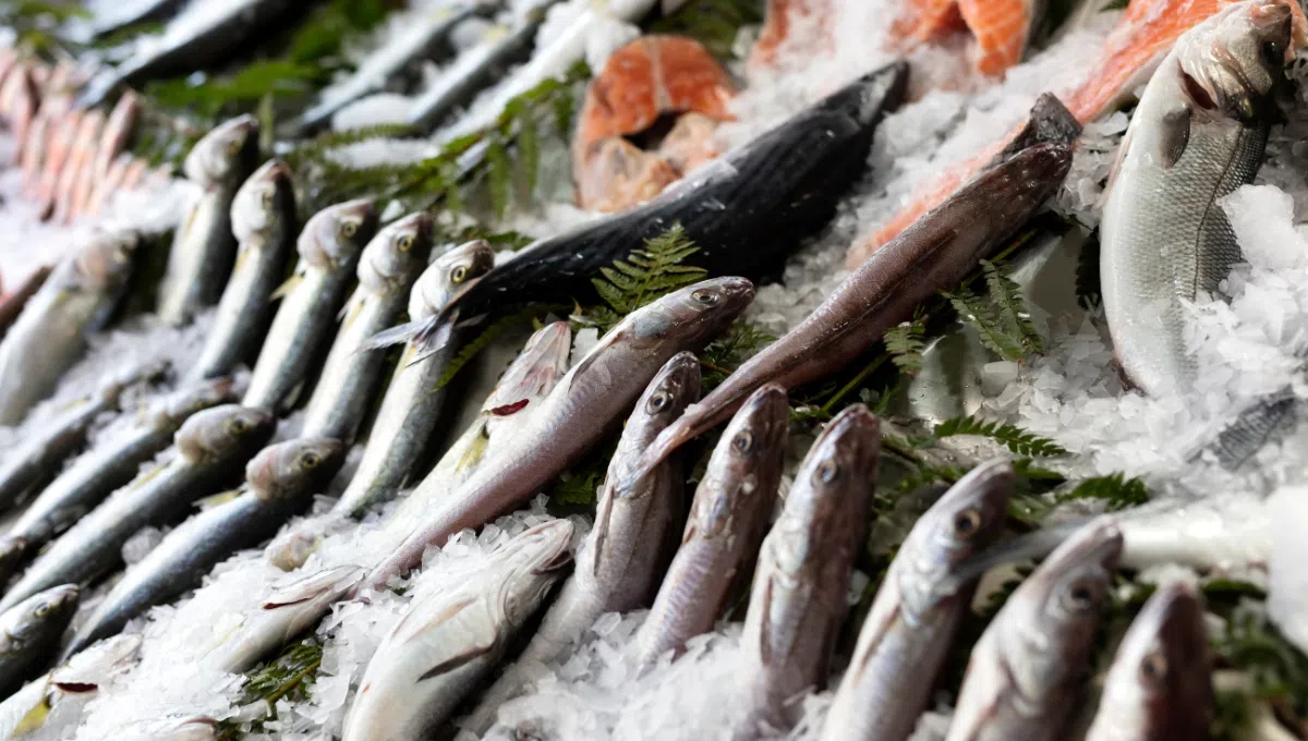 Mẹo chọn cá tươi và cách nhận biết cá nhiễm độc: Ai đi chợ cũng nên biết- Ảnh 1.