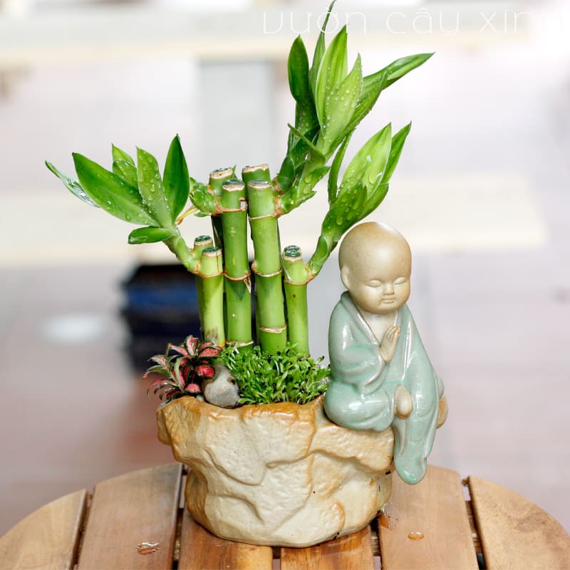 Bàn làm việc trống trơn dễ chán nản: thêm 1 chậu cây phong thủy, “đuổi” stress, kéo lương thưởng, tài lộc đầy túi- Ảnh 3.