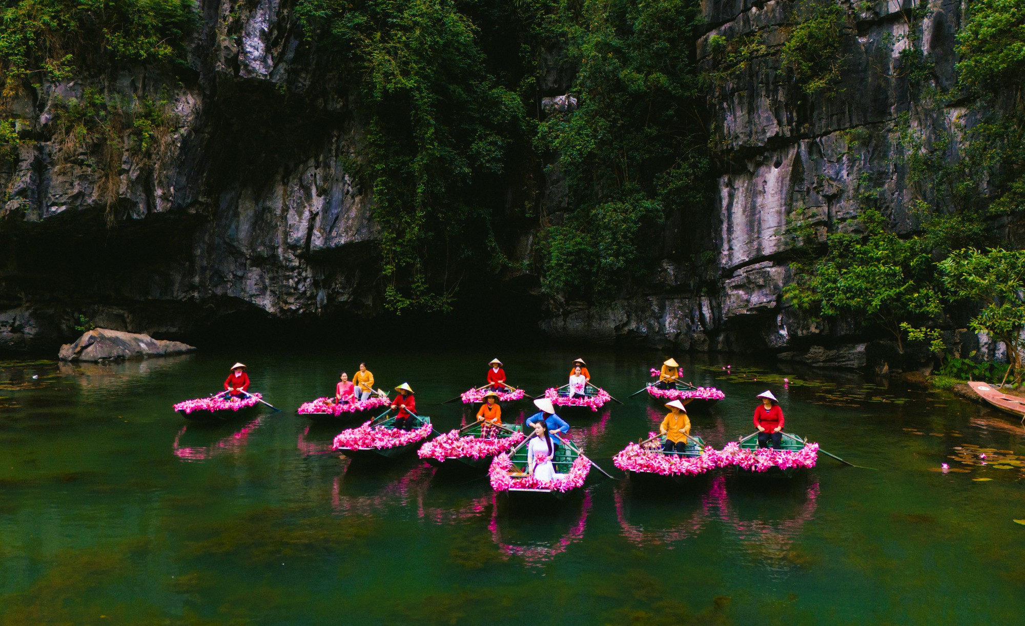 Tam Cốc ngọt lịm mùa hoa súng- Ảnh 9.