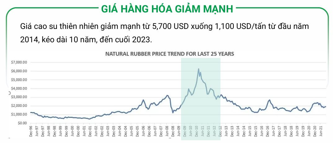 Từ bán nhà cũng phải trồng cao su, mất ngủ vì heo ăn chuối, bầu Đức sắp xoay trục sang sản phẩm chủ lực mới?- Ảnh 1.