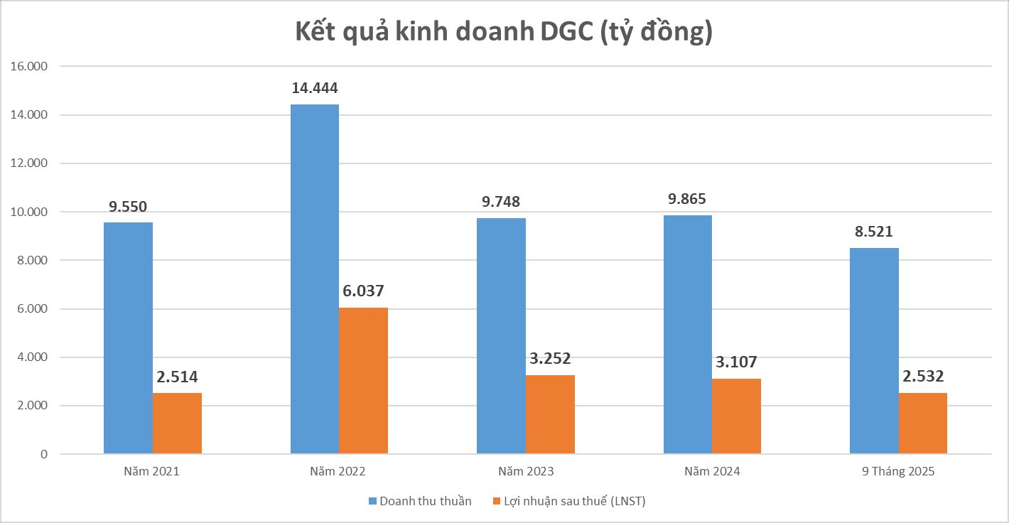 DGC nắm giữ 13.000 tỷ đồng tiền mặt: Bất động sản hay hóa chất mới là "át chủ bài" của ông vua phốt pho?- Ảnh 2.