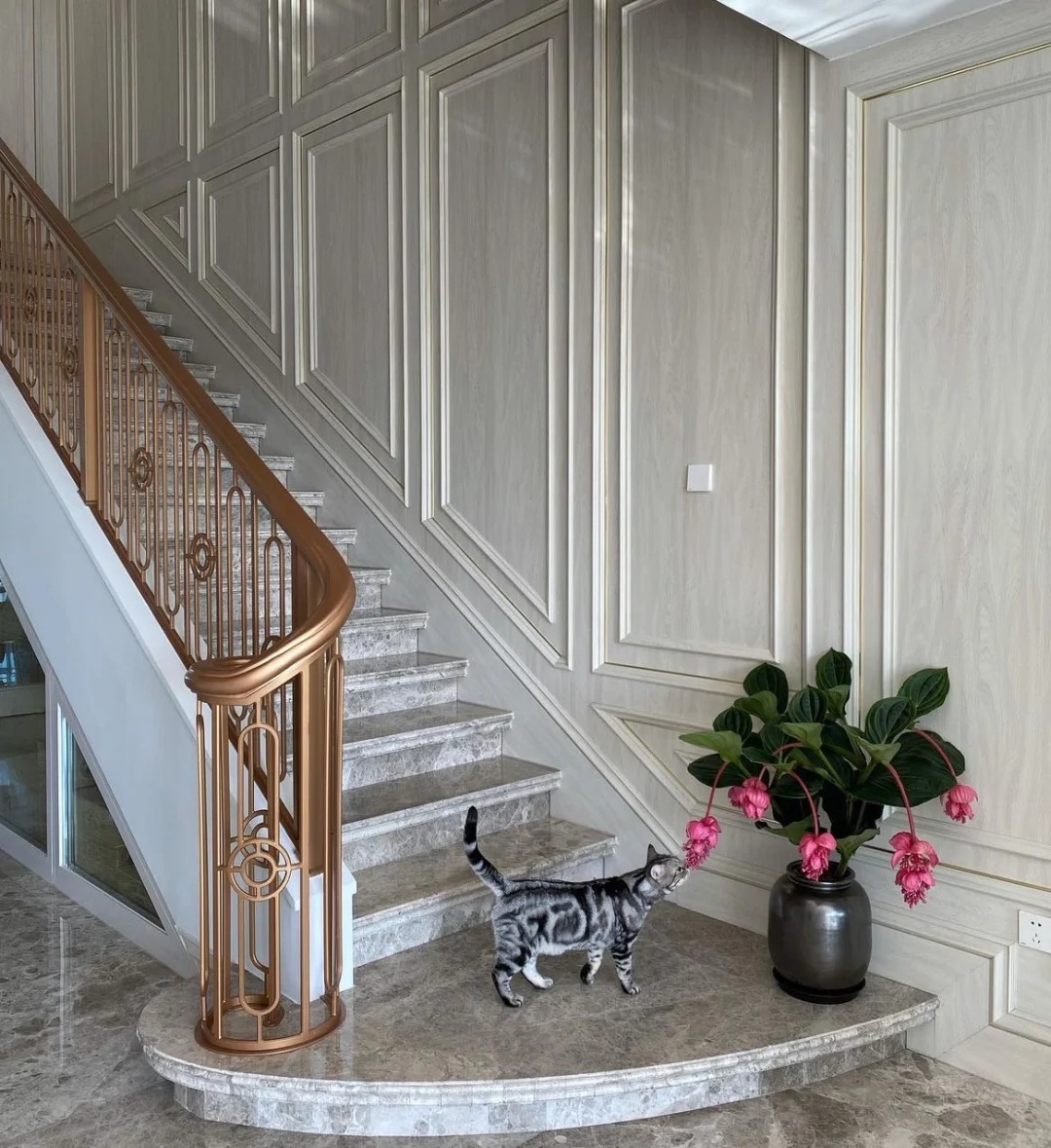 Giới chơi cây đang mê tít hoa bảo liên đăng: Loài hoa hồng rủ như đèn chùm, giúp phòng khách sang như resort- Ảnh 22.