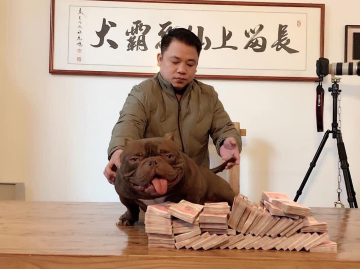 Chú chó có giá 2,6 tỷ đồng- Ảnh 2. Chú chó có giá 2,6 tỷ đồng- Ảnh 2.