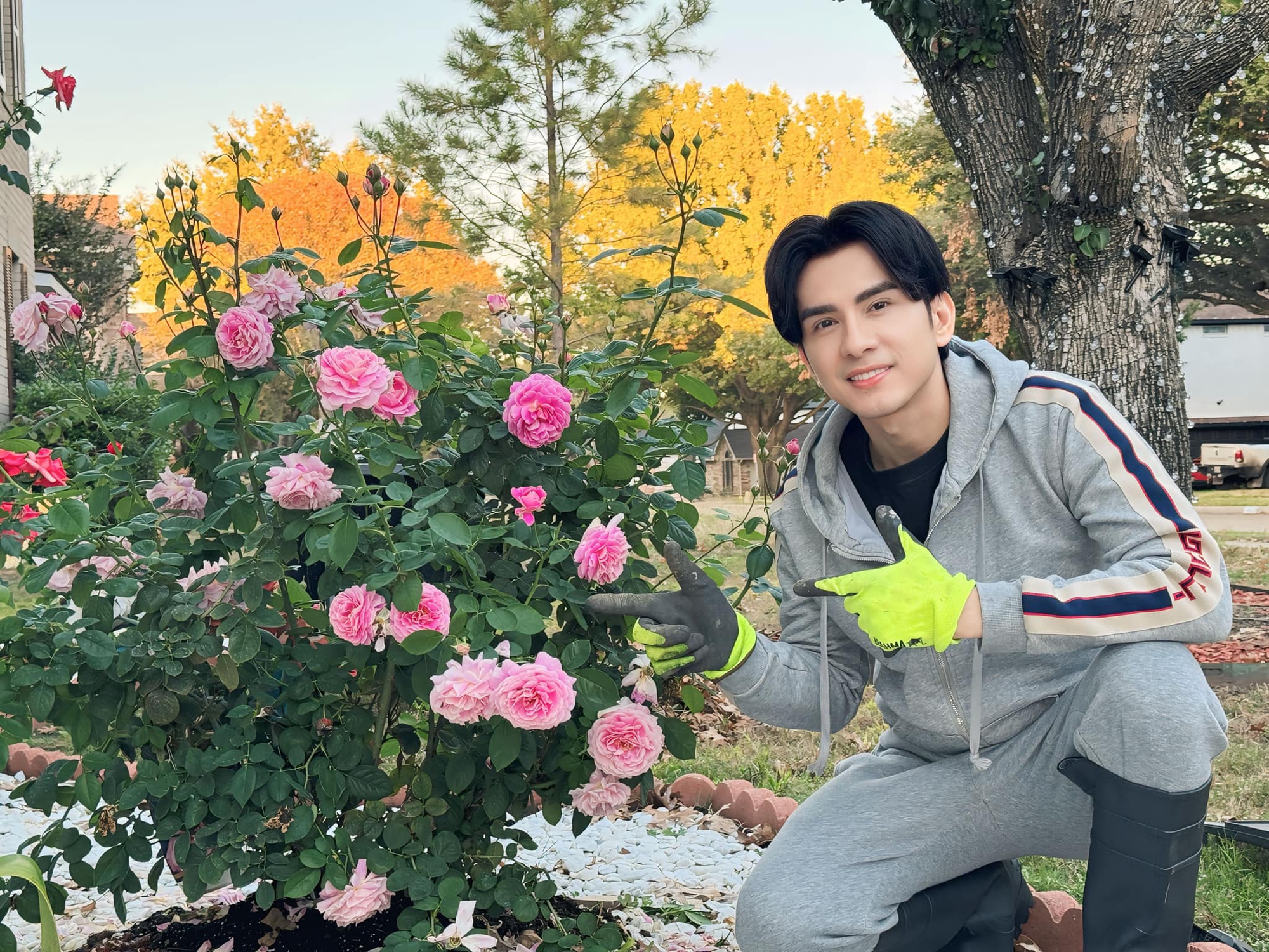 Toàn cảnh bất động sản của Toàn cảnh bất động sản của