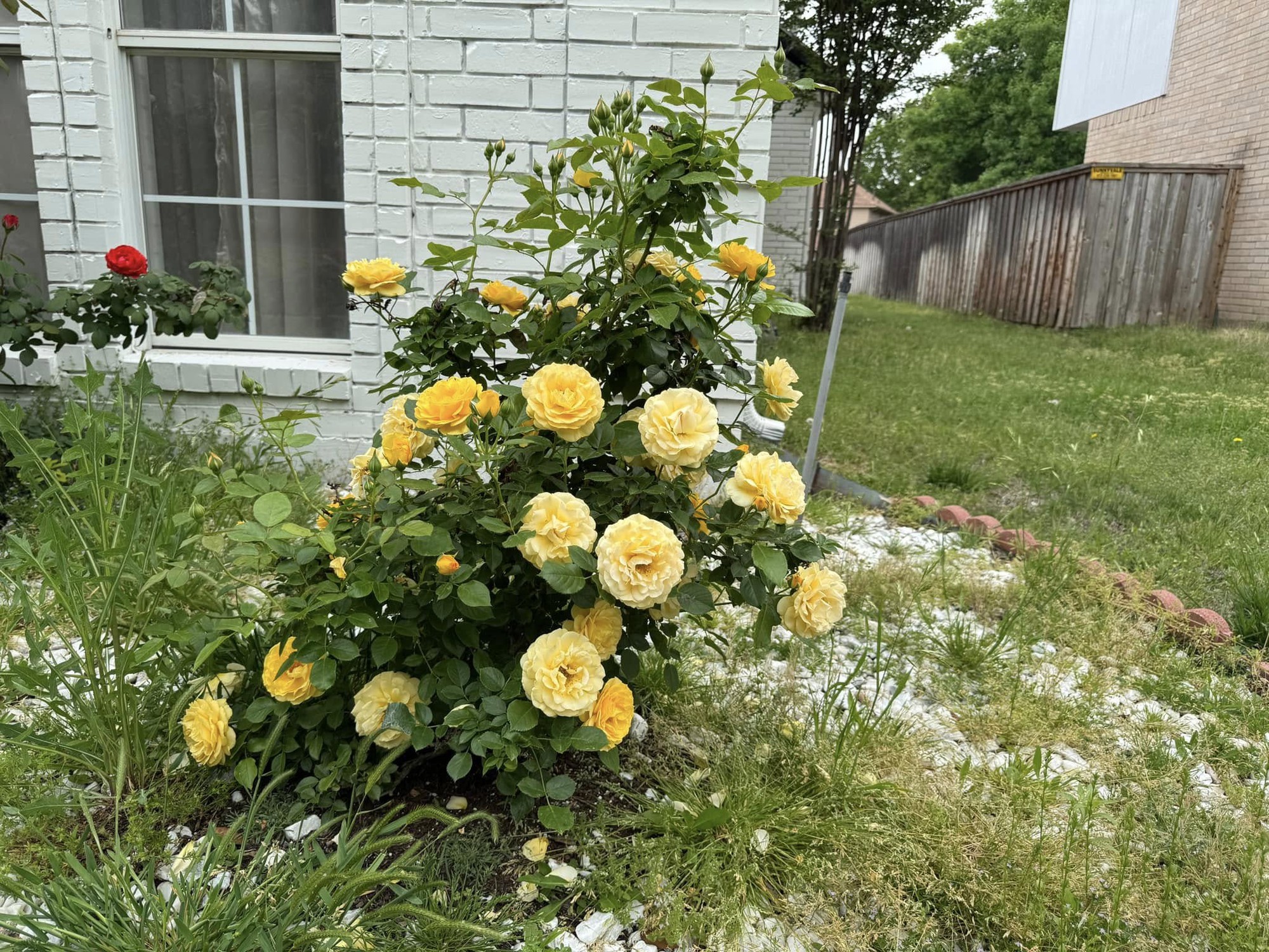 Toàn cảnh bất động sản của Toàn cảnh bất động sản của