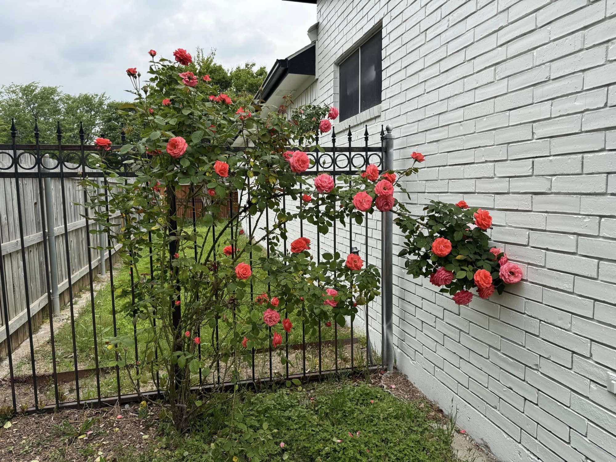 Toàn cảnh bất động sản của Toàn cảnh bất động sản của