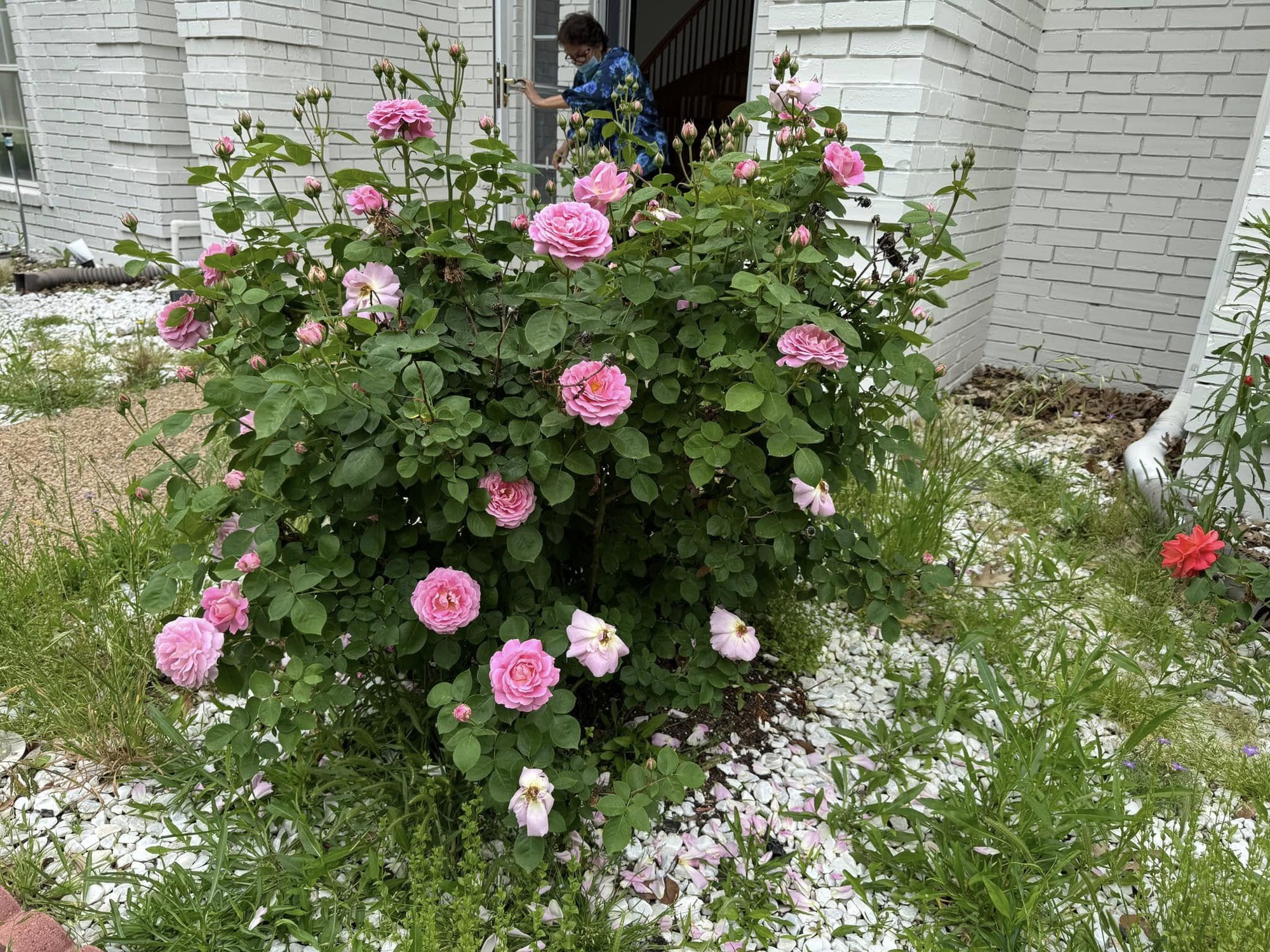 Toàn cảnh bất động sản của Toàn cảnh bất động sản của