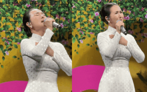 Giọng ca Nhạc viện đắt show nhất hiện tại hát chênh phô lạc giọng mà không ai chê- Ảnh 1. Giọng ca Nhạc viện đắt show nhất hiện tại hát chênh phô lạc giọng mà không ai chê- Ảnh 1.