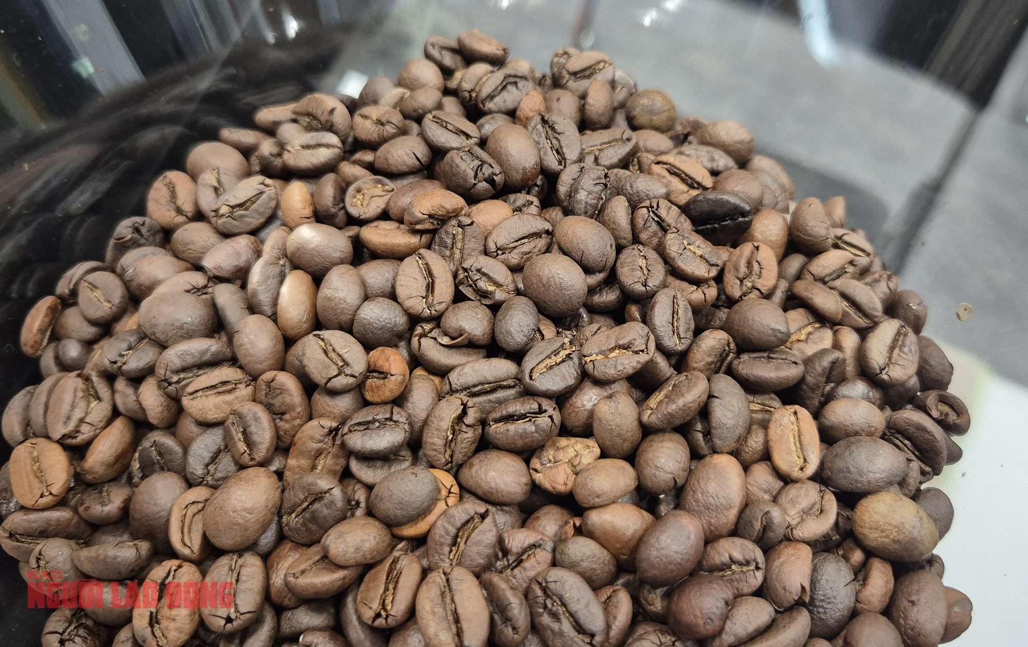 Giá cà phê hôm nay 4-11: Tăng vọt- Ảnh 1. Giá cà phê hôm nay 4-11: Tăng vọt- Ảnh 1.