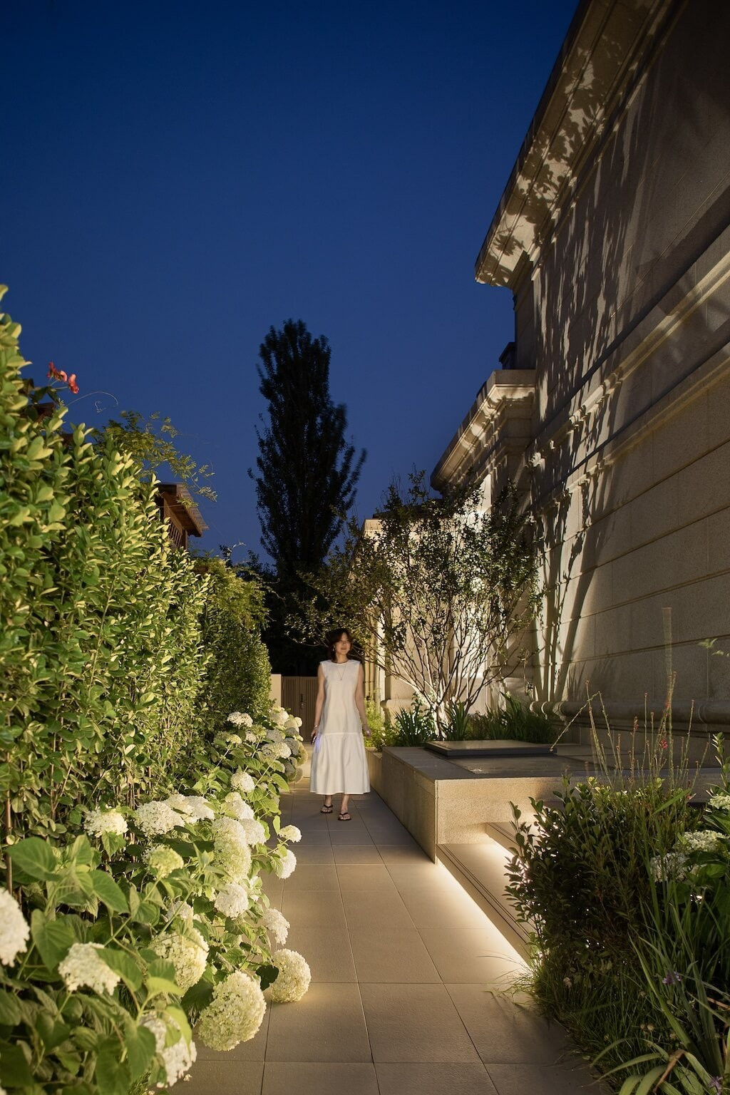 Biệt thự 400m2 ở ngoại ô "chữa lành" với vườn hoa cẩm tú cầu- Ảnh 3.