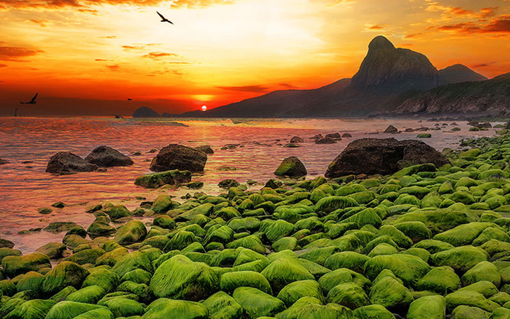 Côn Đảo hướng đến đô thị biển sinh thái, di sản và du lịch đẳng cấp quốc tế- Ảnh 3.