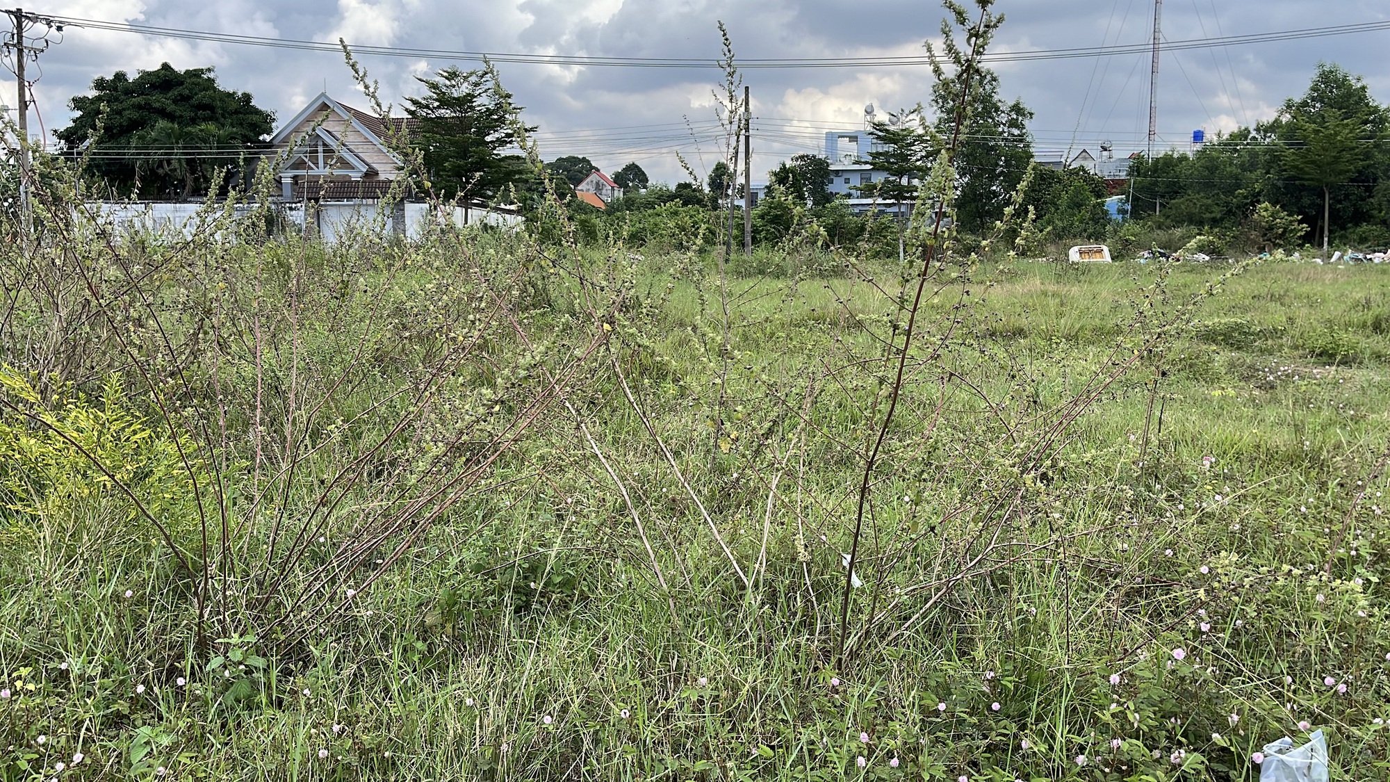 Cận cảnh hiện trạng khu dân cư bị kết luận thanh tra "vi phạm" ở Đồng Nai- Ảnh 6.