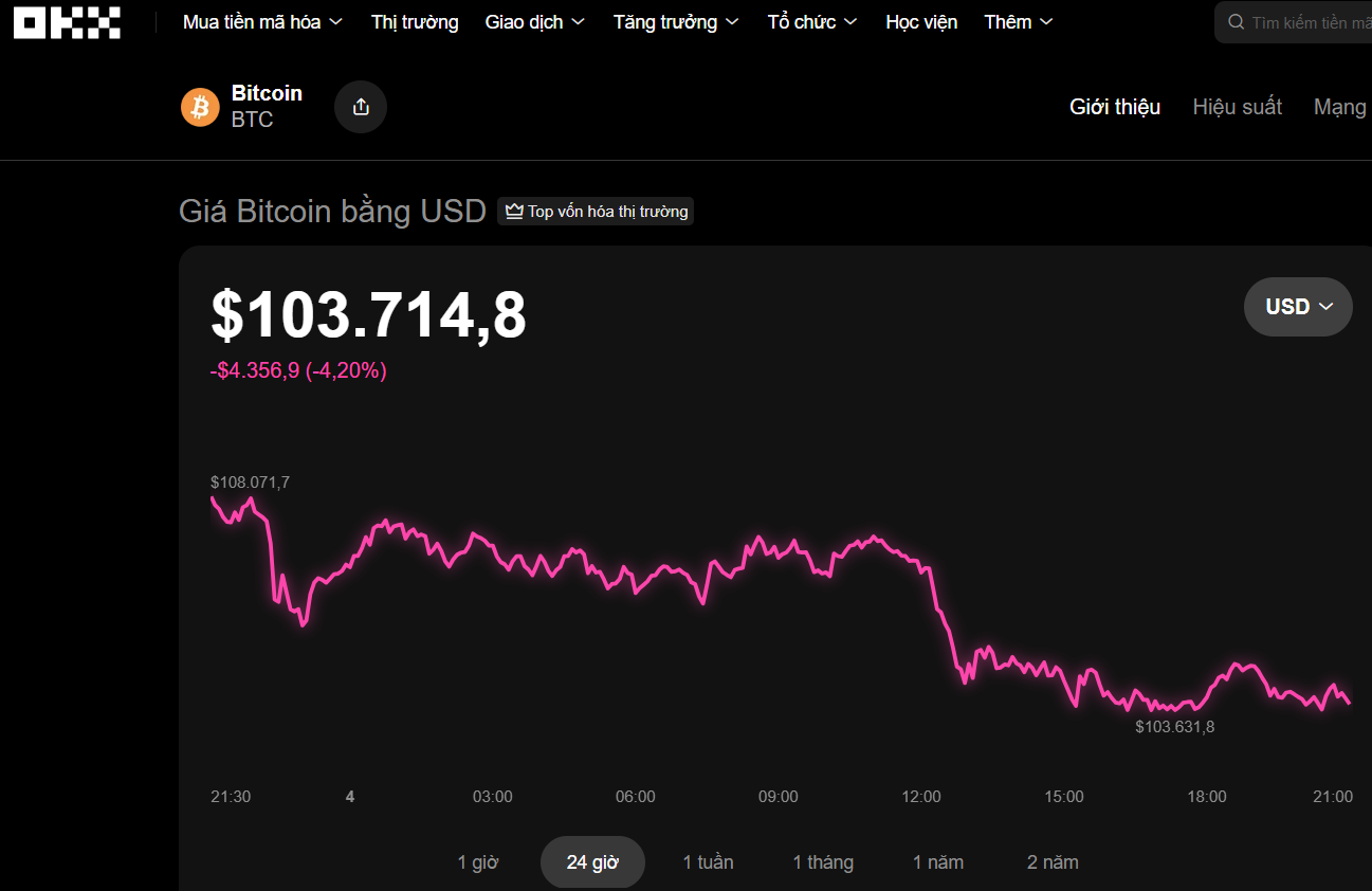 Thị trường tiền số hôm nay, 4-11: Nhiều nhà đầu tư lỗ nặng- Ảnh 1.