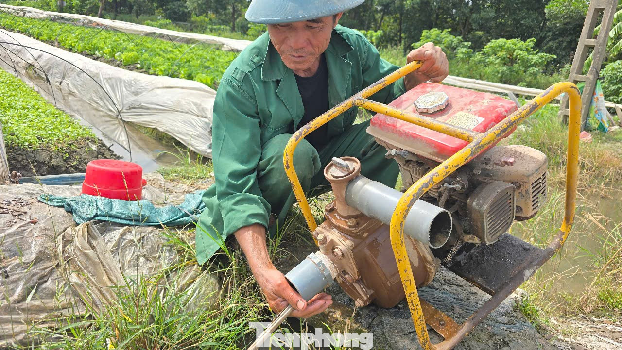 Lo khó giải phóng mặt bằng vì giá đất nông nghiệp dự kiến cao nhất 290.000 đồng/m2- Ảnh 3.