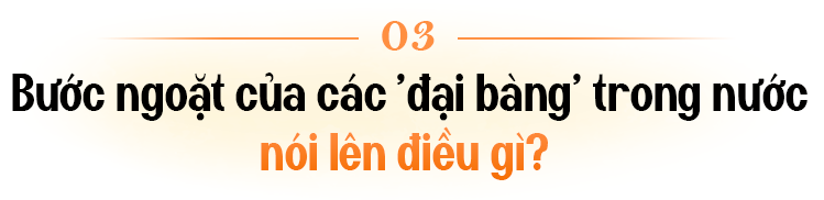 PGS.TS Trần Đình Thiên lý giải vì sao Việt Nam có thể thành công tạo kỳ tích chưa nước nào làm được về tăng trưởng GDP- Ảnh 8.