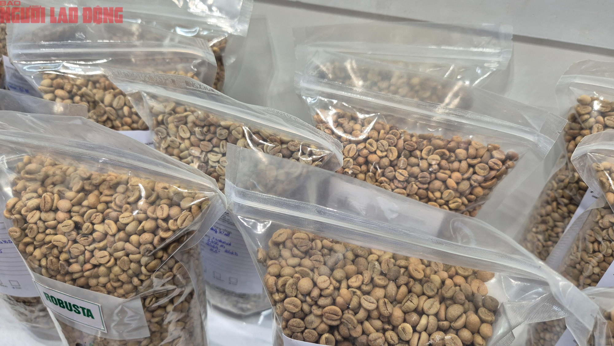 Giá cà phê hôm nay 5-11: Cà phê Việt được săn đón- Ảnh 1. Giá cà phê hôm nay 5-11: Cà phê Việt được săn đón- Ảnh 1.