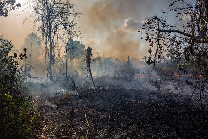 15 thảm họa thiên nhiên kinh hoàng tưởng như chỉ có trong phim- Ảnh 5.