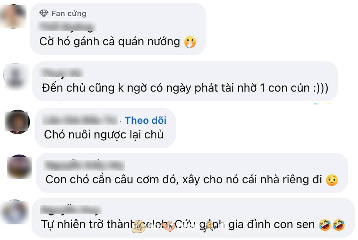 Khách xếp hàng từ sớm để gặp chú chó "nuôi được cả chủ" ở Hà Nội- Ảnh 5.