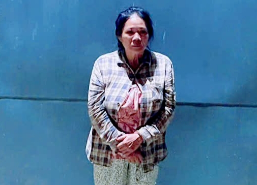 Tạm giữ hình sự Lê Thị Lệ- Ảnh 1.