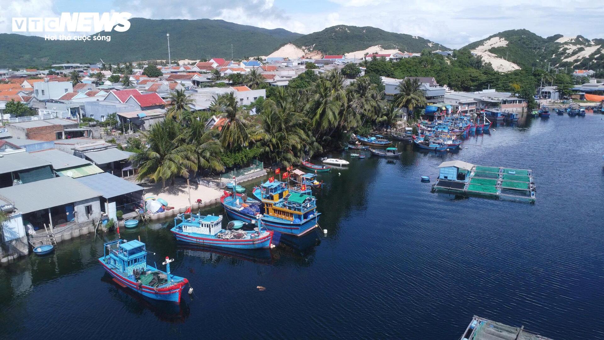 Giá tôm hùm tại Đắk Lắk giảm trước bão số 13 Kalmaegi- Ảnh 9.