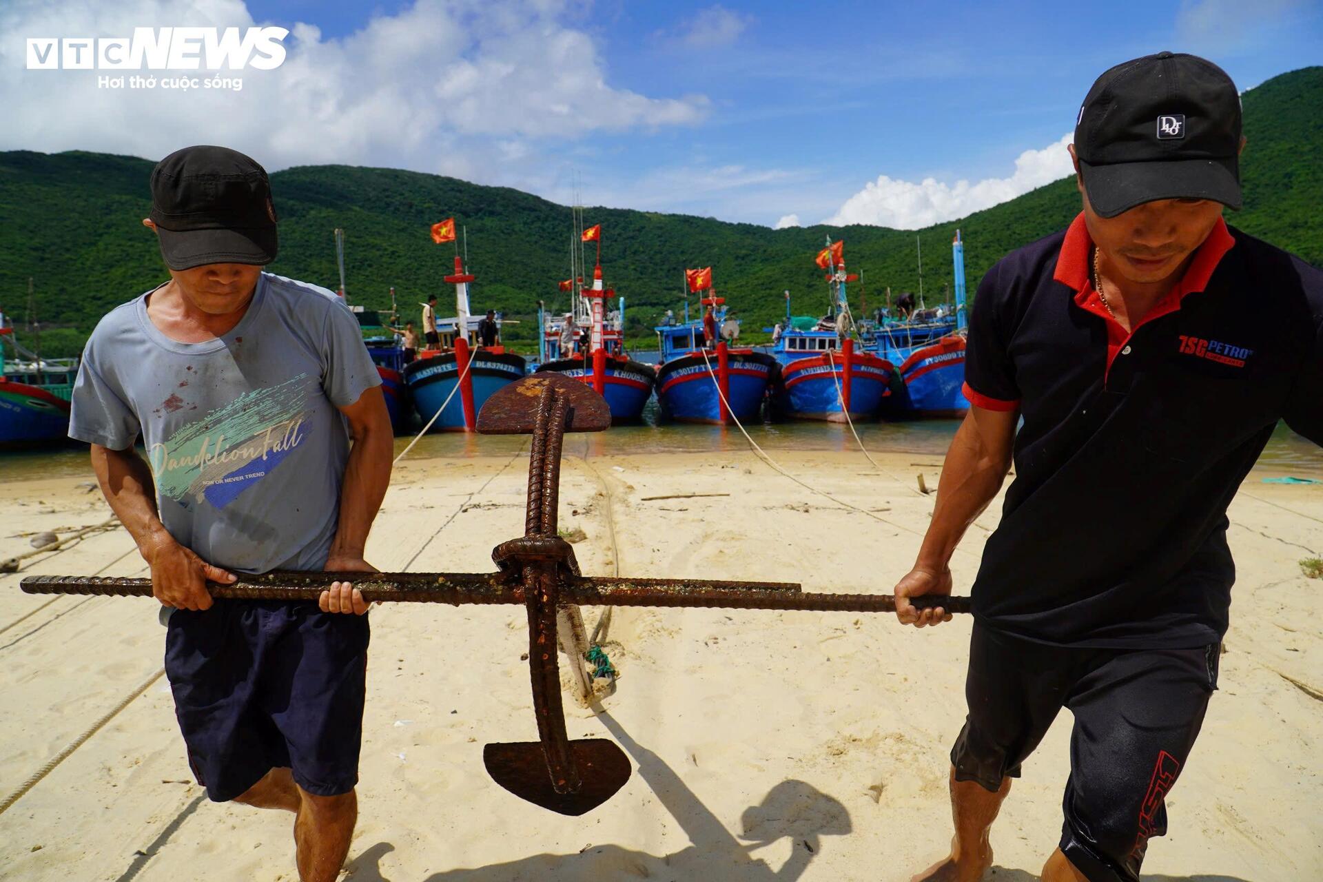 Giá tôm hùm tại Đắk Lắk giảm trước bão số 13 Kalmaegi- Ảnh 1.