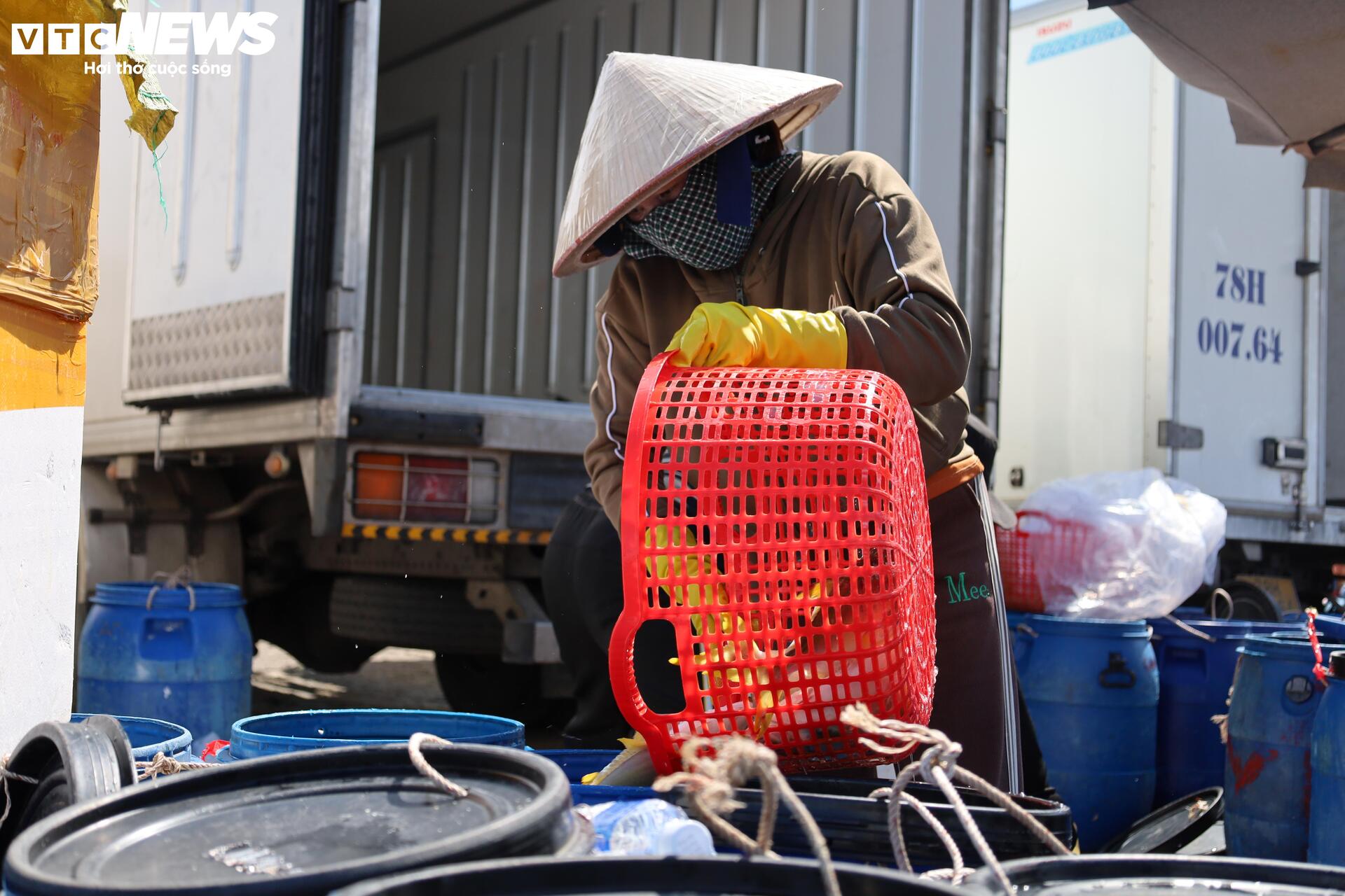 Giá tôm hùm tại Đắk Lắk giảm trước bão số 13 Kalmaegi- Ảnh 8.