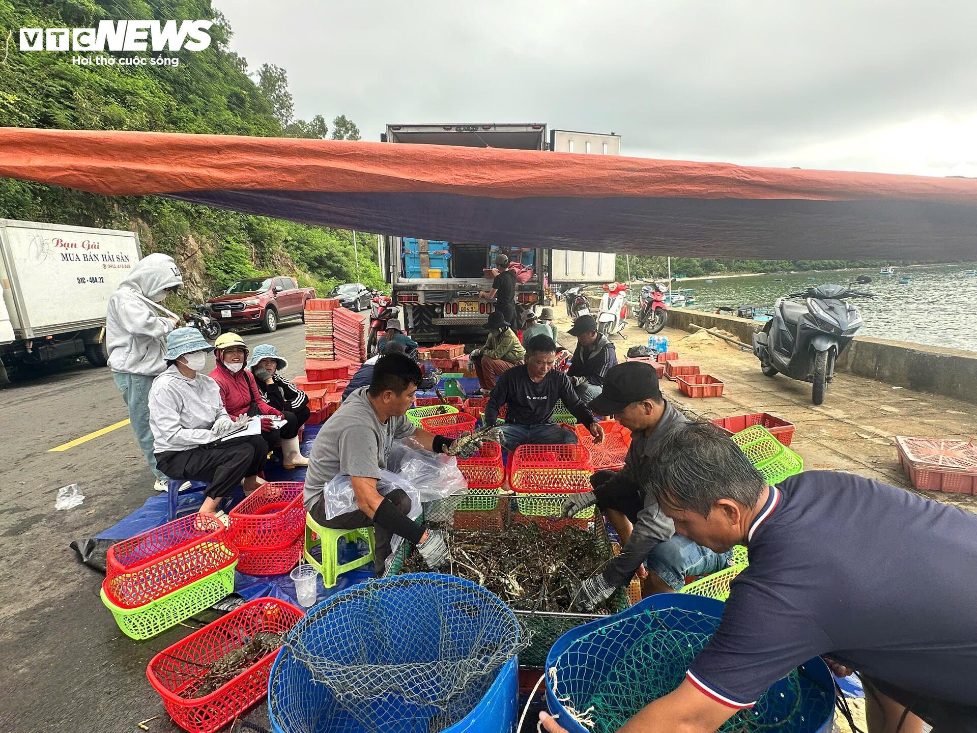 Giá tôm hùm tại Đắk Lắk giảm trước bão số 13 Kalmaegi- Ảnh 2.