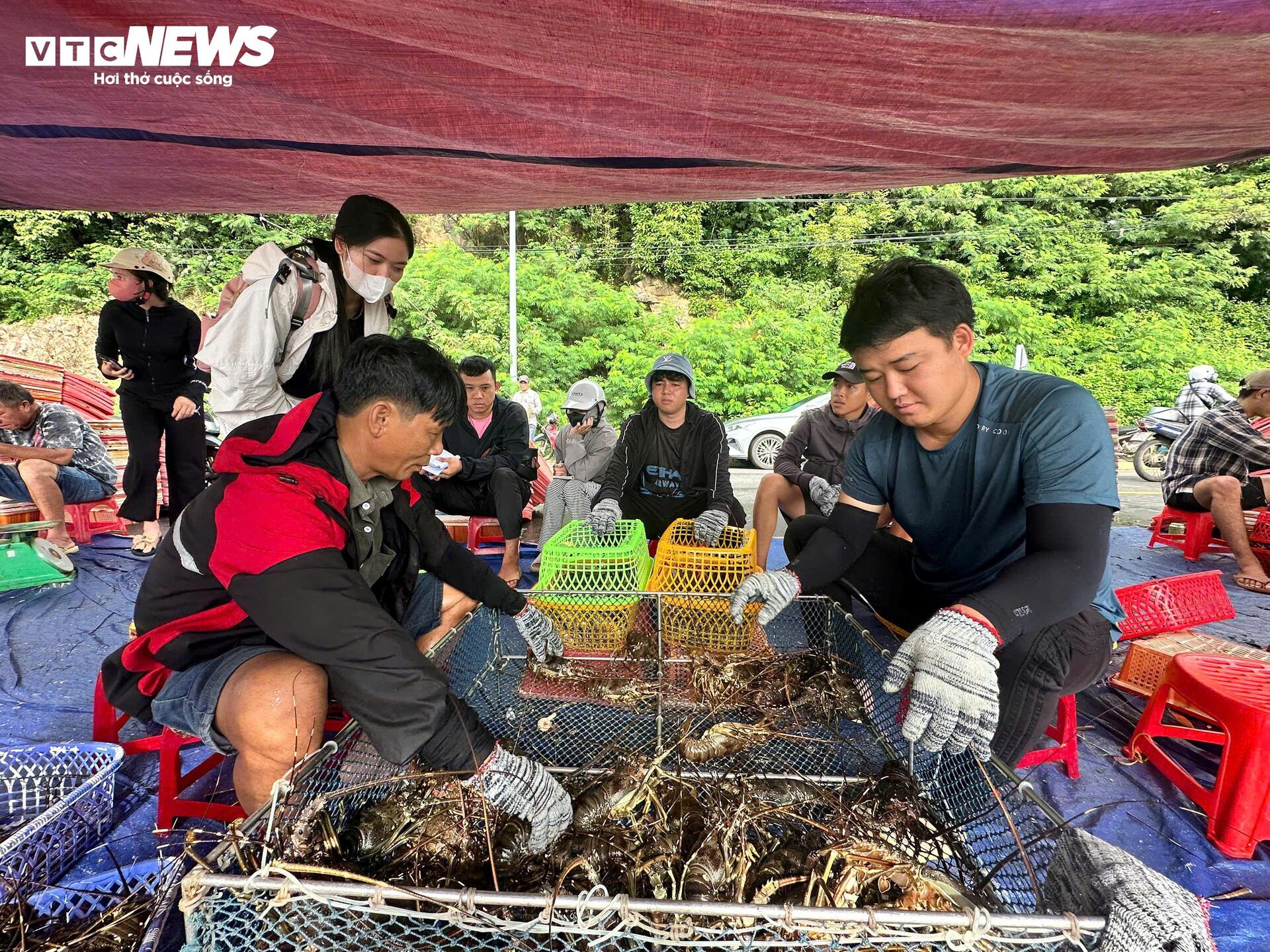 Giá tôm hùm tại Đắk Lắk giảm trước bão số 13 Kalmaegi- Ảnh 4.
