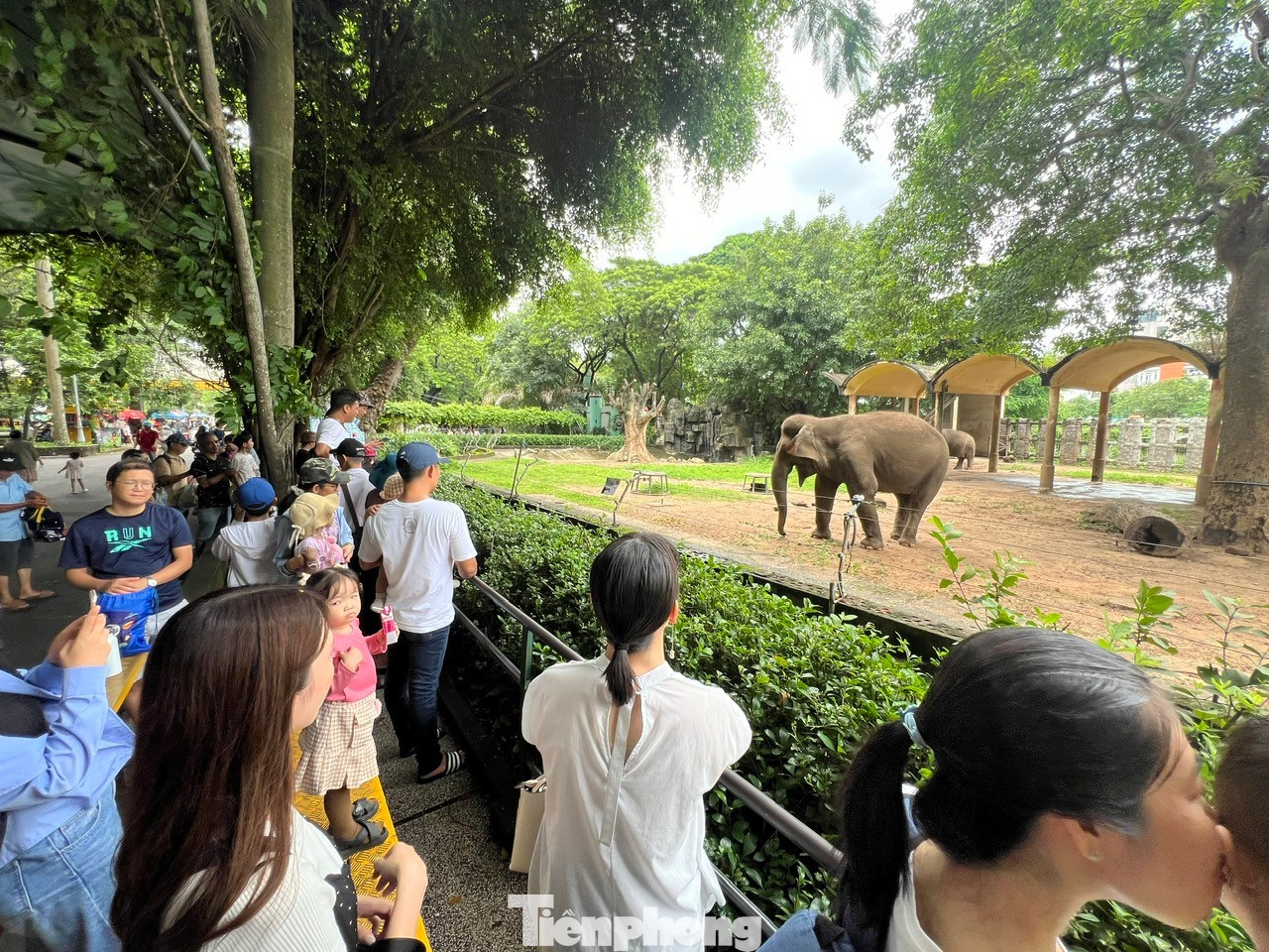 Bất ngờ doanh thu của vườn thú từng bị 'sờ gáy' vì nợ thuế- Ảnh 3.