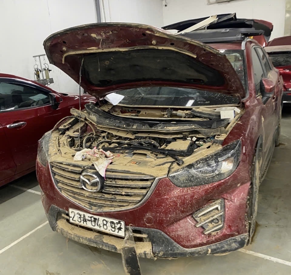 Bảo hiểm chi trả hàng trăm tỉ đồng tiền bồi thường thiệt hại do bão, lũ- Ảnh 1. Bảo hiểm chi trả hàng trăm tỉ đồng tiền bồi thường thiệt hại do bão, lũ- Ảnh 1.