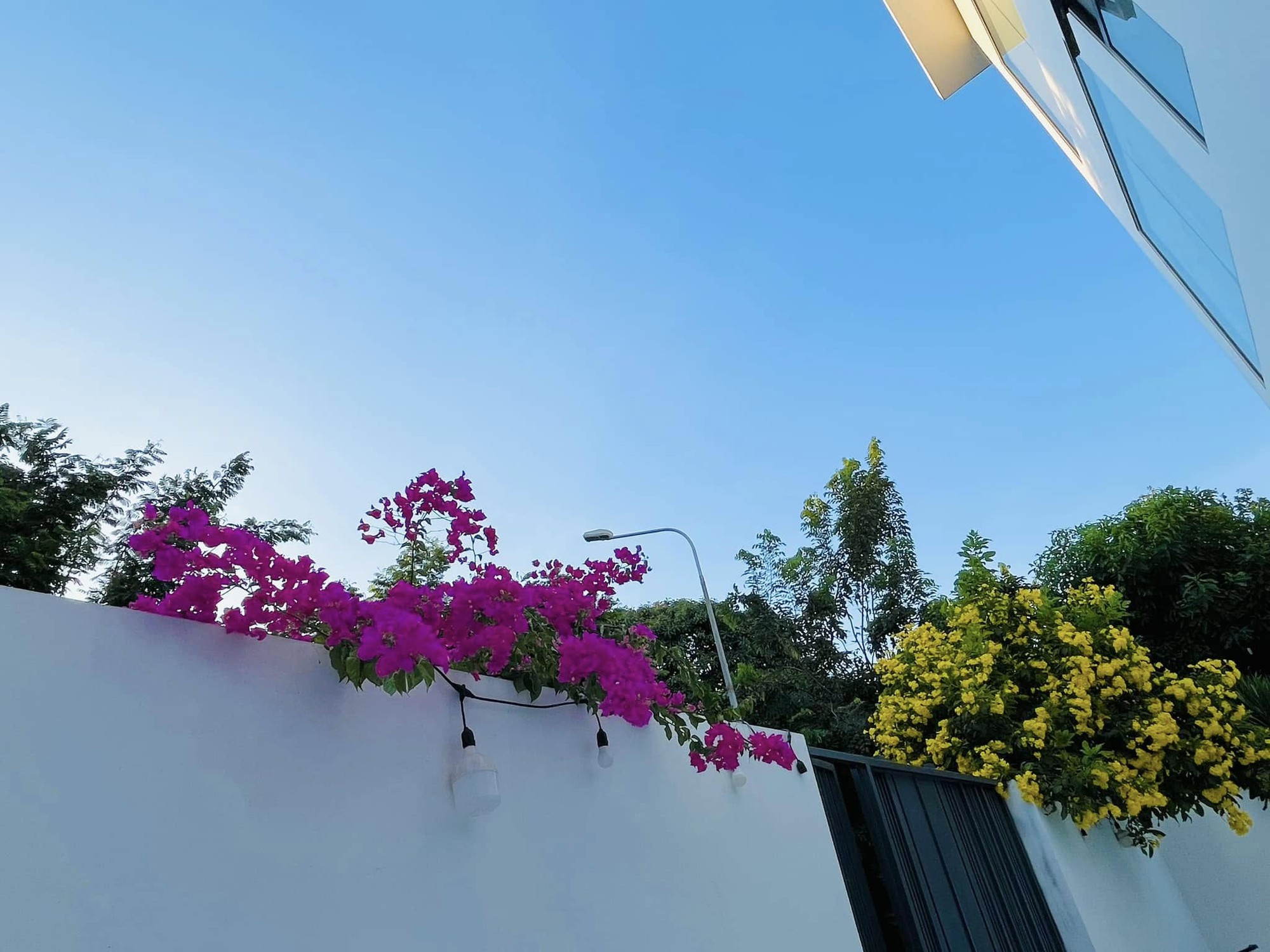 Bạch dinh 22 tỷ rộng 1000m² của Công Vinh - Thuỷ Tiên- Ảnh 3. Bạch dinh 22 tỷ rộng 1000m² của Công Vinh - Thuỷ Tiên- Ảnh 3.