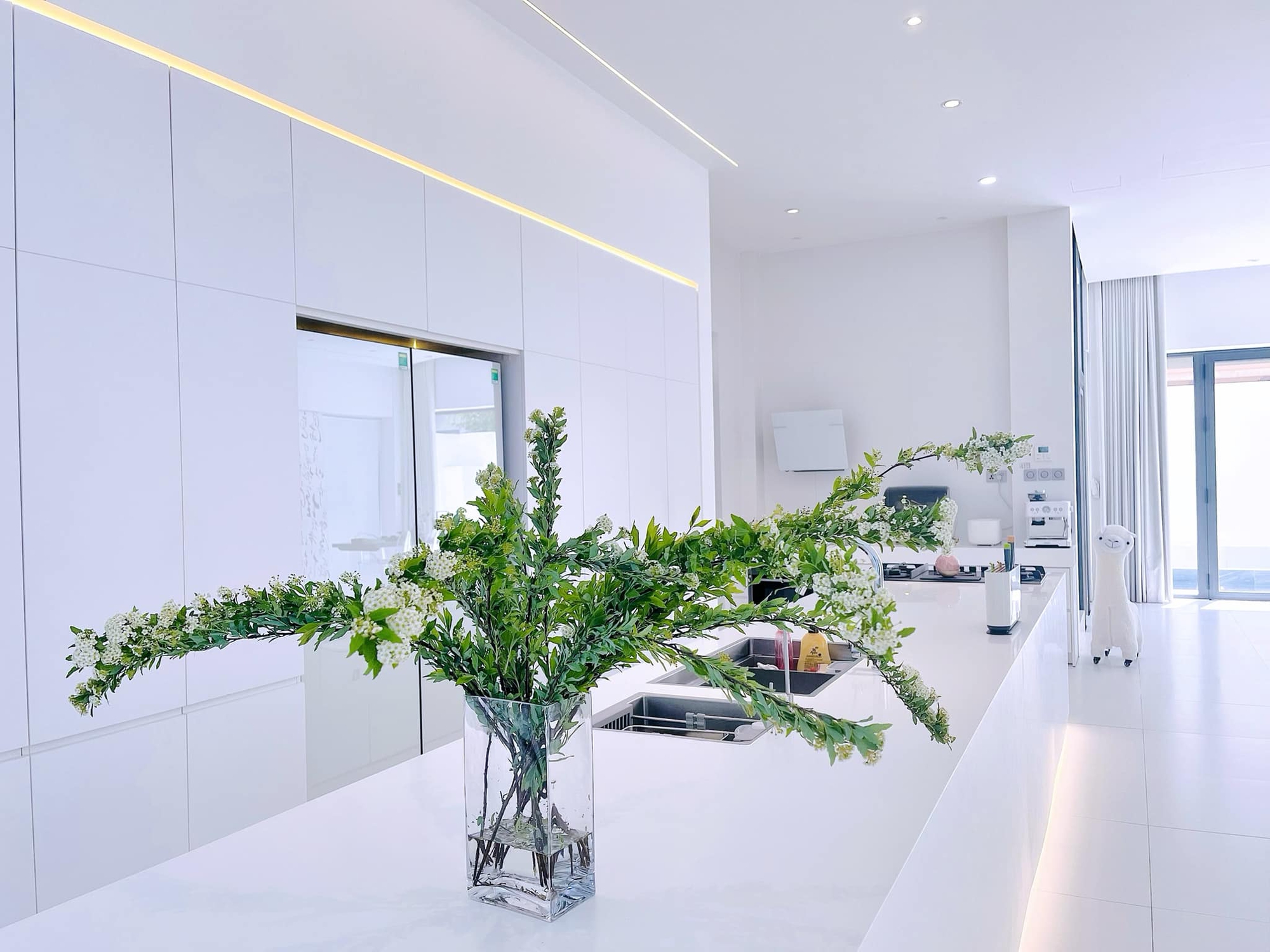 Bạch dinh 22 tỷ rộng 1000m² của Công Vinh - Thuỷ Tiên- Ảnh 9. Bạch dinh 22 tỷ rộng 1000m² của Công Vinh - Thuỷ Tiên- Ảnh 9.