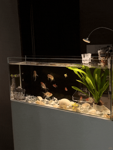 Chỉ có thiên tài mới có thể nghĩ ra 7 thiết kế tuyệt vời này- Ảnh 6.