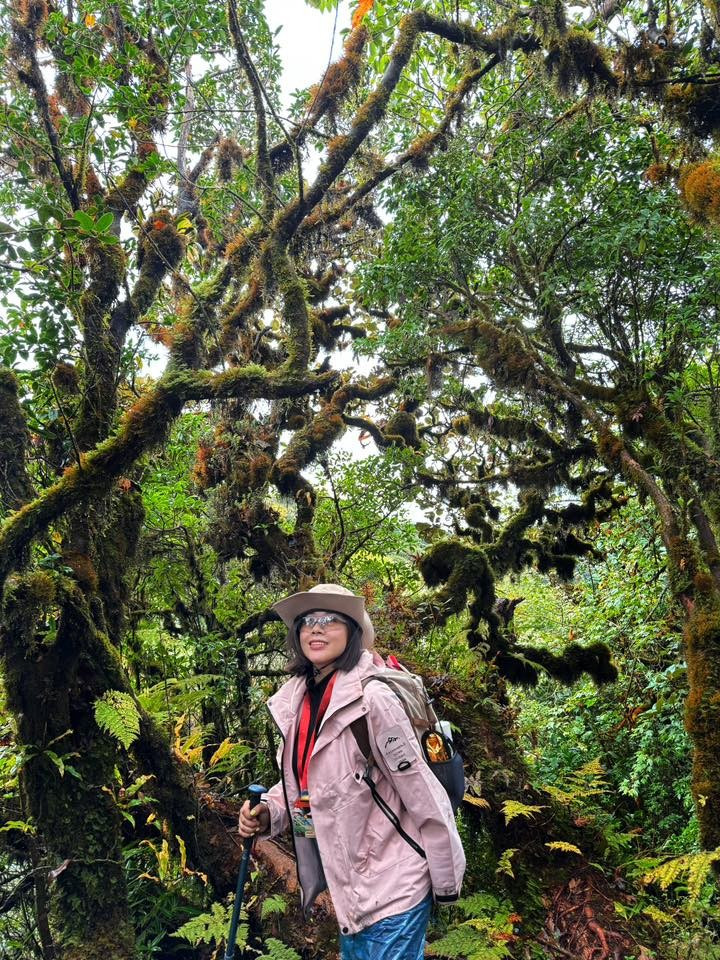 Tận thấy rừng rêu bí ẩn 'bao vây' du khách ở độ cao 2.800m- Ảnh 9.