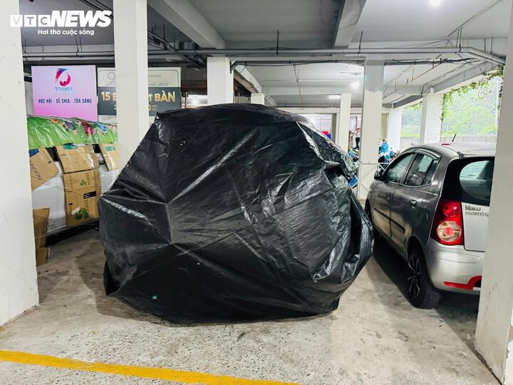 Muôn cách bảo vệ tài sản của người dân Gia Lai, Đắk Lắk trước bão Kalmaegi- Ảnh 9.