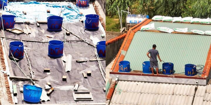 Muôn cách bảo vệ tài sản của người dân Gia Lai, Đắk Lắk trước bão Kalmaegi- Ảnh 3.