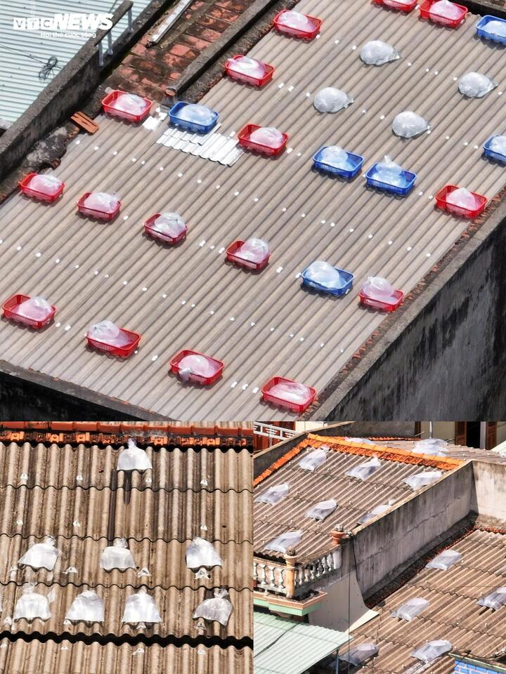 Muôn cách bảo vệ tài sản của người dân Gia Lai, Đắk Lắk trước bão Kalmaegi- Ảnh 5.