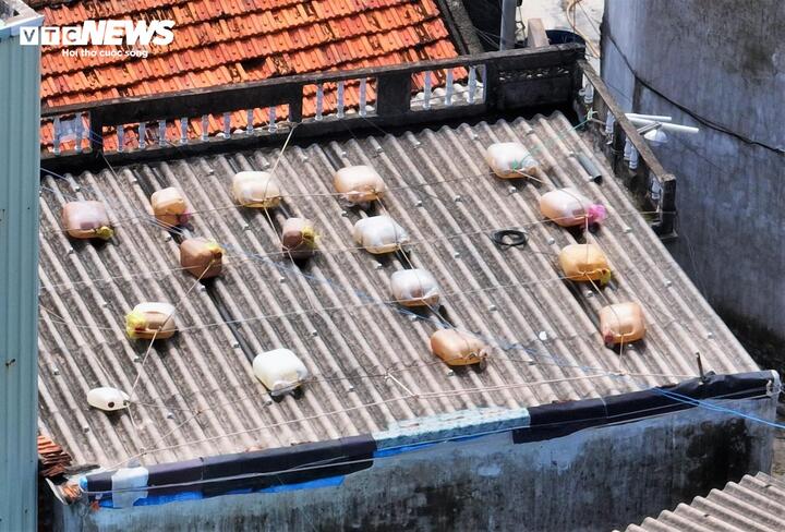 Muôn cách bảo vệ tài sản của người dân Gia Lai, Đắk Lắk trước bão Kalmaegi- Ảnh 4.