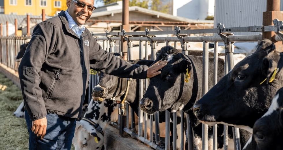 GS Mỹ "hiến kế" giúp VN có thể chinh phục ngành kinh tế hơn 3.000 tỷ USD, tạo ra hàng triệu việc làm- Ảnh 5.