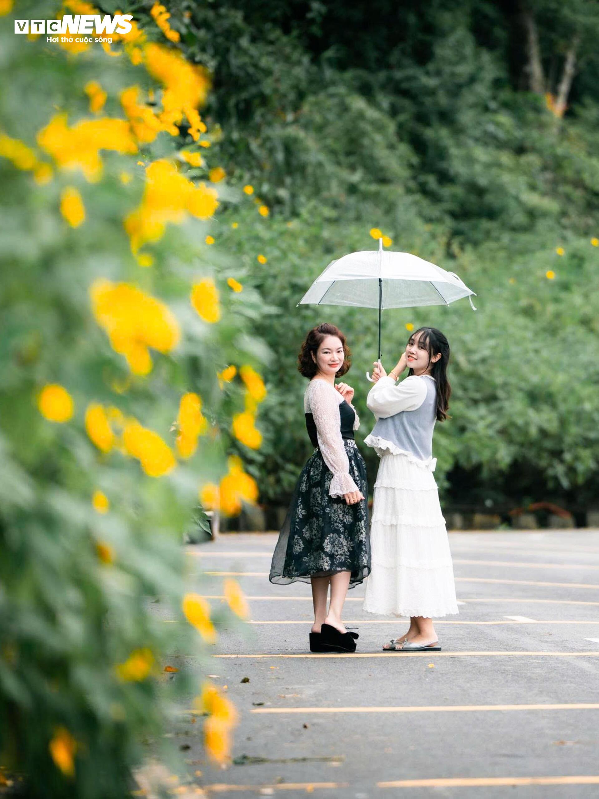 Mùa dã quỳ phủ vàng sườn núi Ba Vì, khách đổ về săn ảnh đầu đông- Ảnh 10.