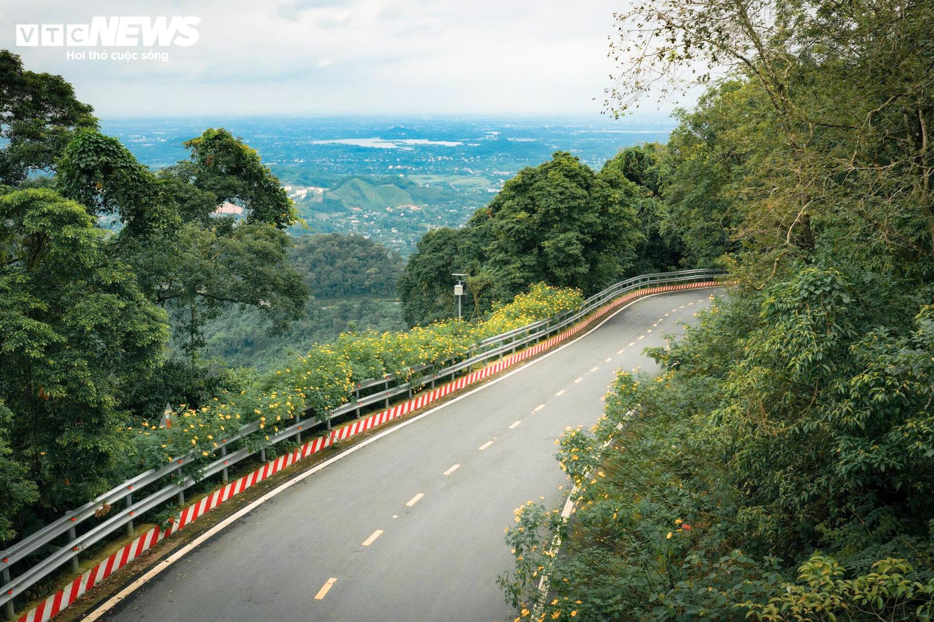 Mùa dã quỳ phủ vàng sườn núi Ba Vì, khách đổ về săn ảnh đầu đông- Ảnh 1.