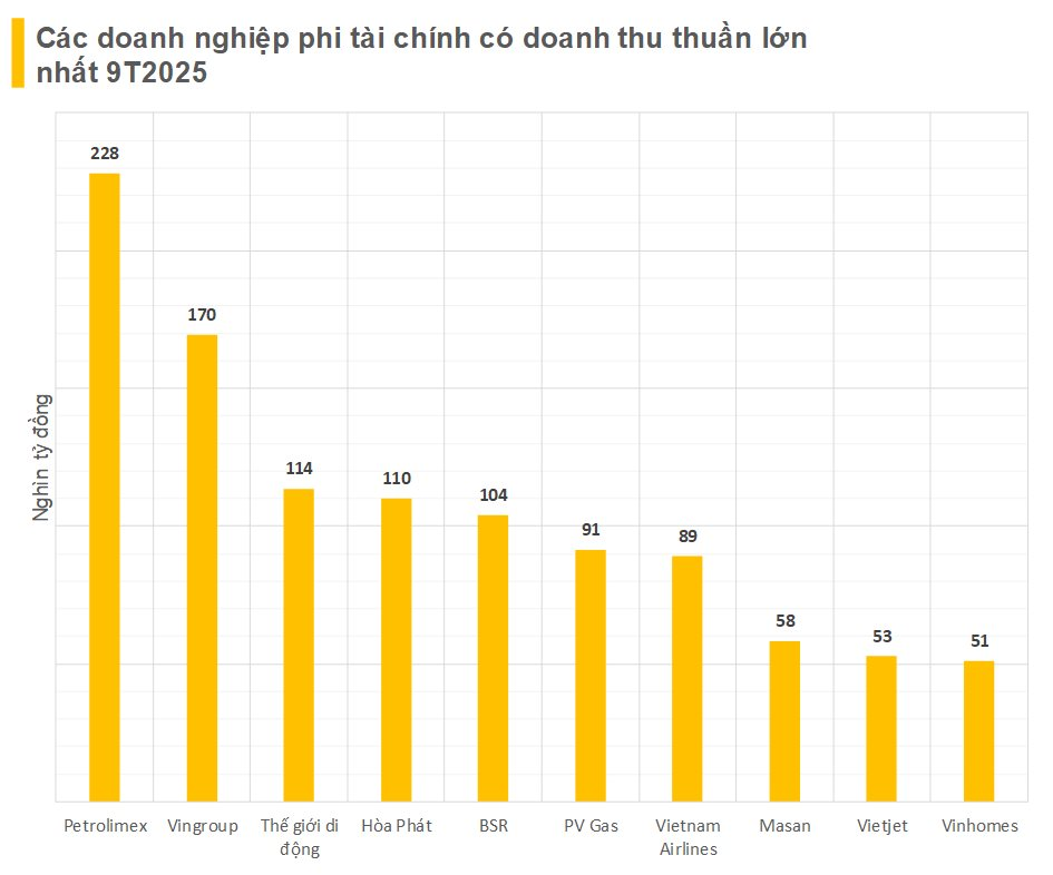 Nhận diện những 'đầu tàu' bứt phá trong bức tranh kết quả kinh doanh 9 tháng đầu năm 2025- Ảnh 2.