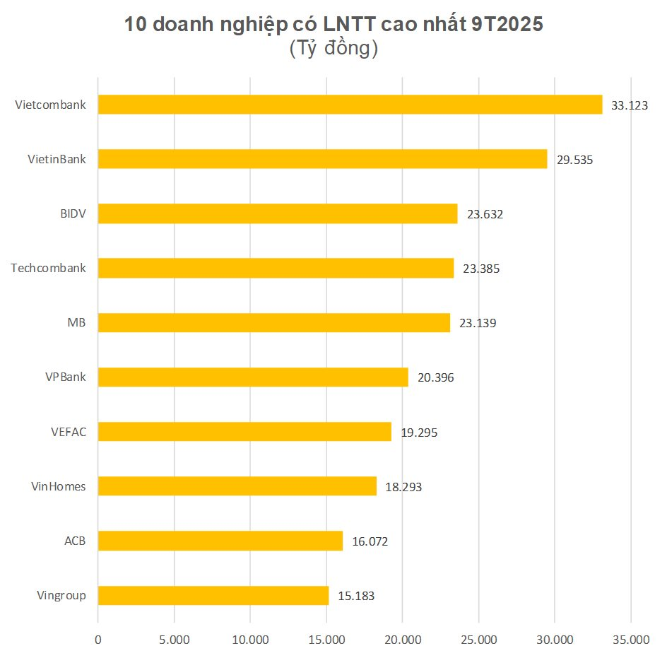 Nhận diện những 'đầu tàu' bứt phá trong bức tranh kết quả kinh doanh 9 tháng đầu năm 2025- Ảnh 3.