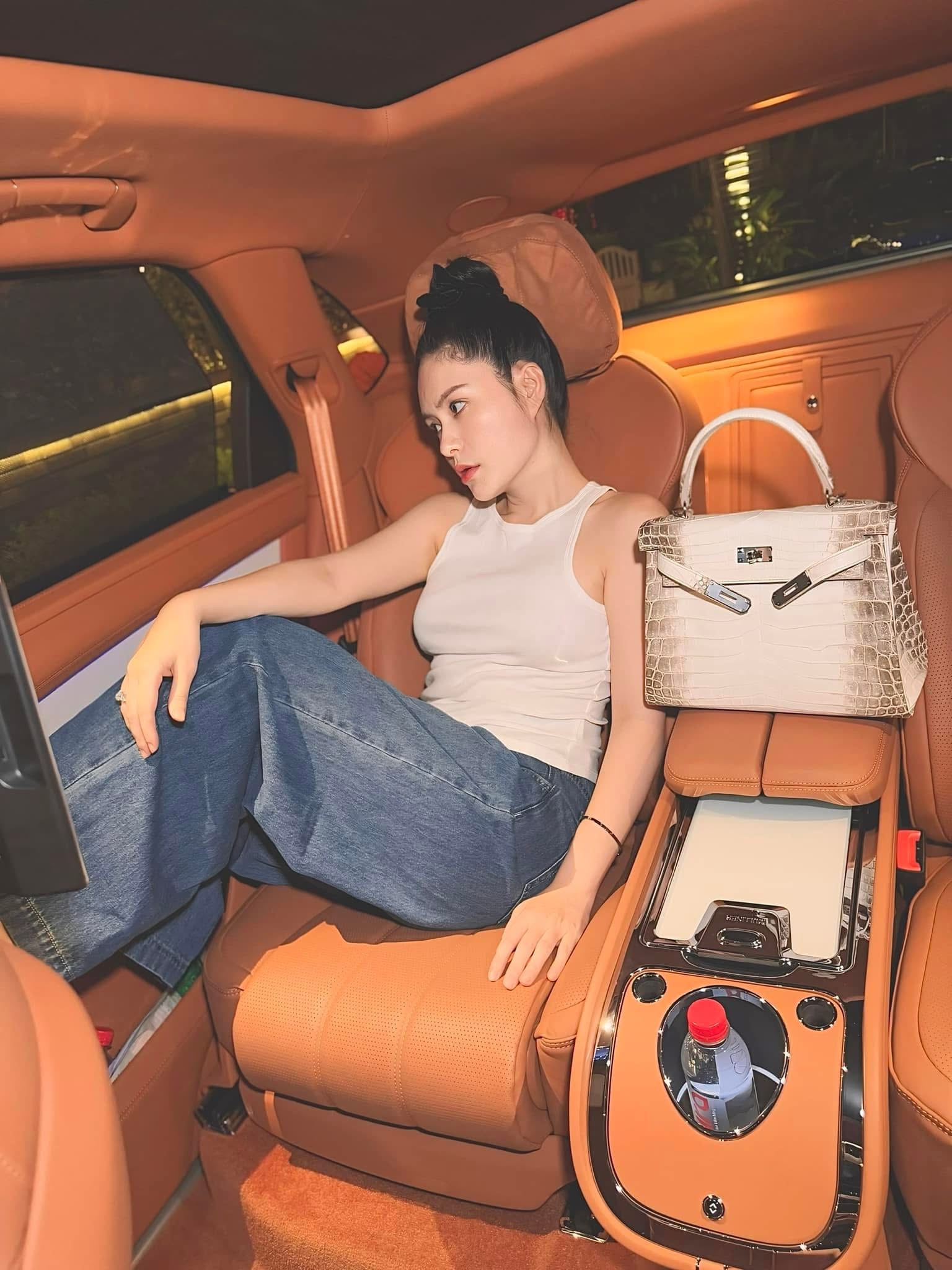 BST túi hàng hiệu của Đoàn Di Băng: Hermès đựng cún cưng, Dior và Chanel để đi chợ- Ảnh 11.